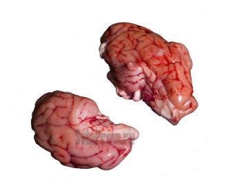 Мозги свиные